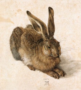 Albrecht Durer - Young Hare, 1505