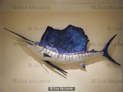 Sail-fish by Sue McLearie