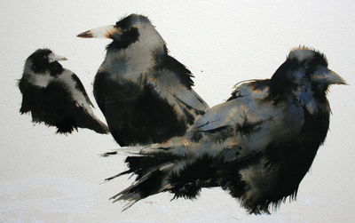 Rooks in the Snow by Artist Kate Osborne