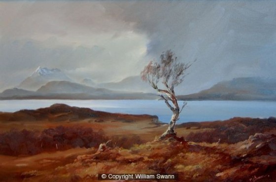 Survivor, Tokavaig, Isle of Skye by William Swann