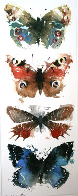 KO.41 Butterflies Moths 5 by Artist Kate Osborne