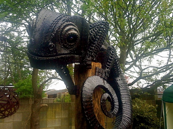 Rodney Chameleon  by Alan Williams