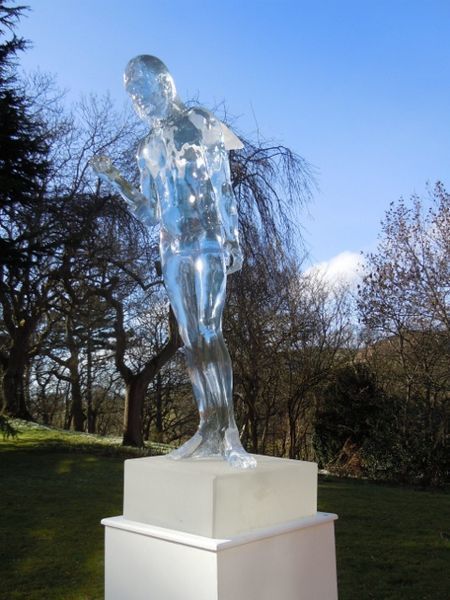 Boy Ice Angel by Jane Robbins