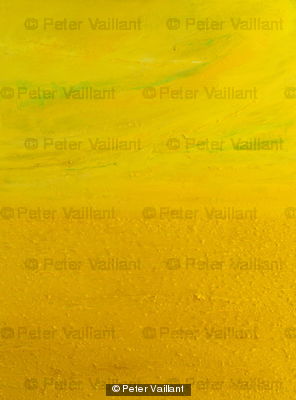 Fields of Yellow by Peter Valliant