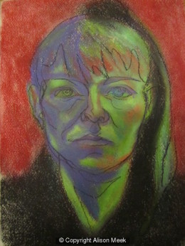 'Feelings as reaction to life' - Spotlight on artist Alison Meek