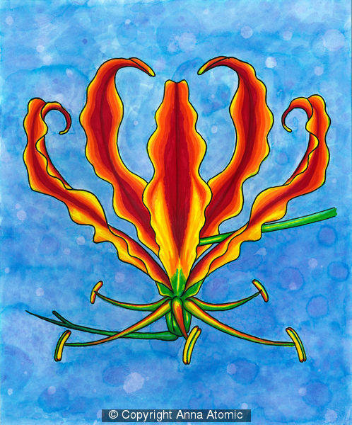 'Flame Lily' by Anna Atomic