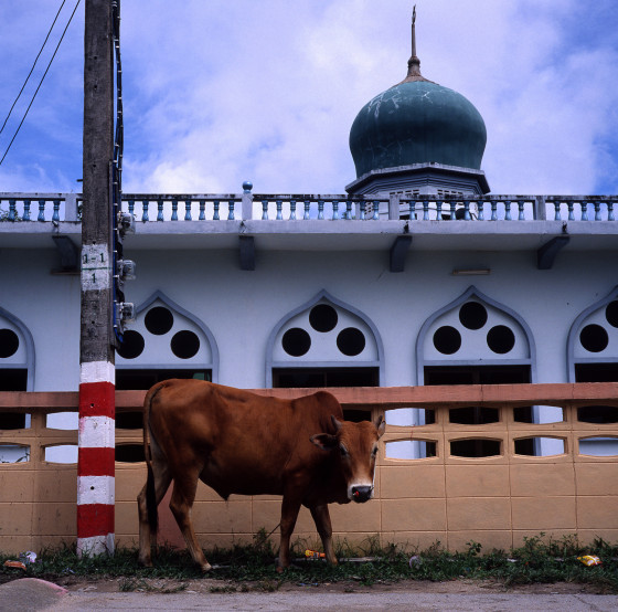 Thailand's Troubled Border - South Mushlim by Androniki Christodoulou