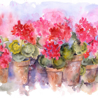 geranium-pots-by-rachel-mcnaughton