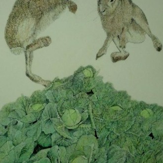 rabbits-and-full-of-cabbage-work-by-robert-askew