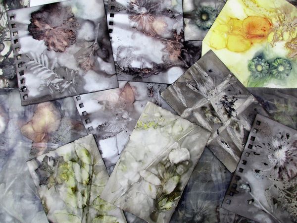 an-exhibition-of-new-work-by-tag-(textile-art-group)-alchemy-eco-dyeing-experiment