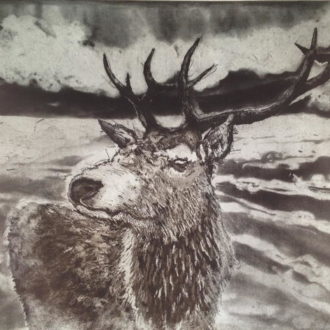 stag-ii-soft-ground-etching-artwork-by-diana-howorth