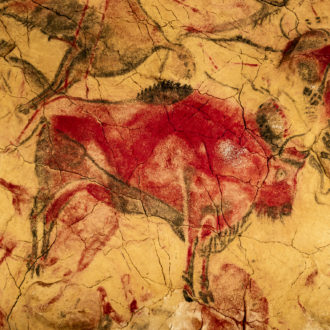 the-altamira-caves,-cantabria.-spanish-rock-art.-it-is-the-highest-representation-of-cave-painting-in-spain