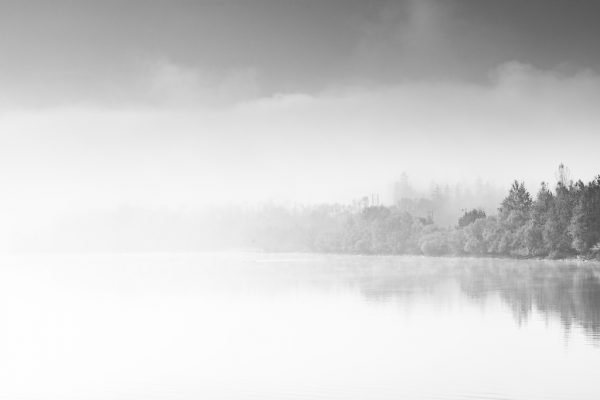 This-image-of-a-lake-covered-with-fog-in-black-and-white