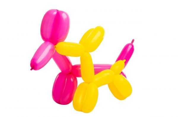 balloon dogs photography