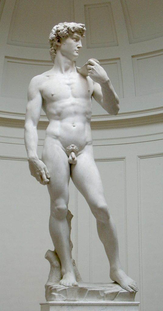 MIchelangelo's David statue is one of the most famous Renaissance artworks and an early example of artists efforts to realistically embody the human form. 