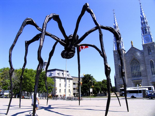 Louise Bourgeois' spiders seem mysterious until the artist explains the connection to her mother. 