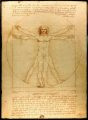 Vitruvian Man drawing by da Vinci