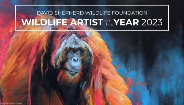 Wildlife Artist of the Year is one of the most prestigious art competitions in the world. 