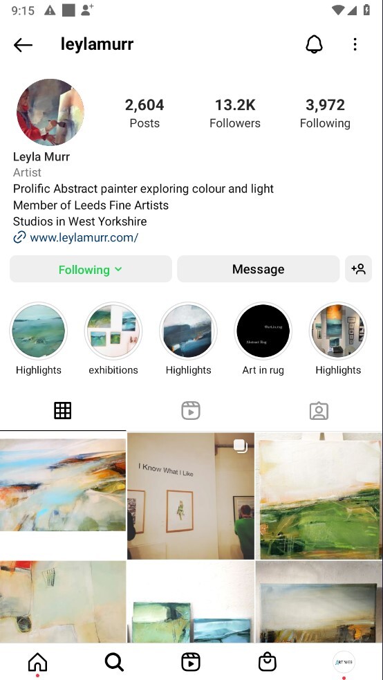 Screenshot of Artweb artist Leyla Murr's Instagram social media account featuring her abstract paintings