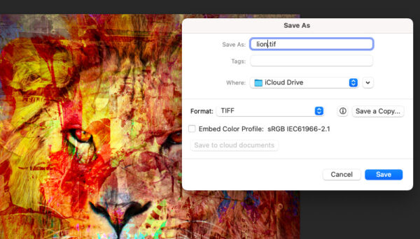 When scanning artwork, save files in TIFF rather than JPEG