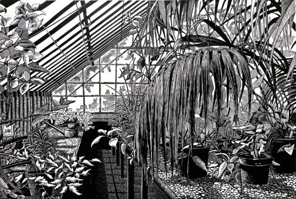 A work from the  2022 Royal Society of Painter-Printmakers art competition. Image of a black and white greenhouse interior.