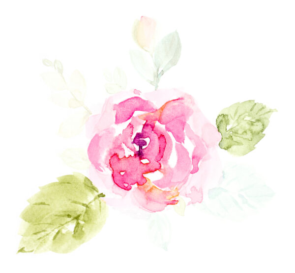 Handpainted watercolor pink flower with green leaves on a white background.