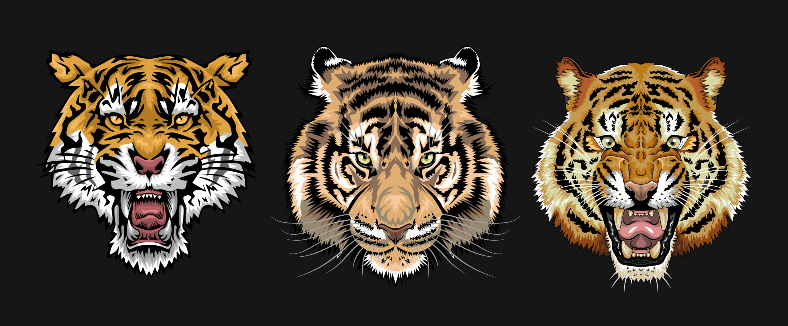 adobe stock image of drawings of tiger